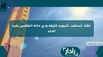 حقك تستعد: شبورة كثيفة ودي حالة الطقس بكرة الأحد